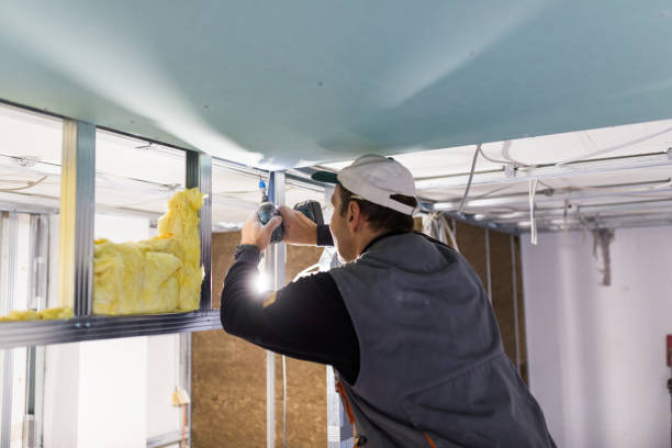 Best Attic Insulation Installation  in Viola, IL