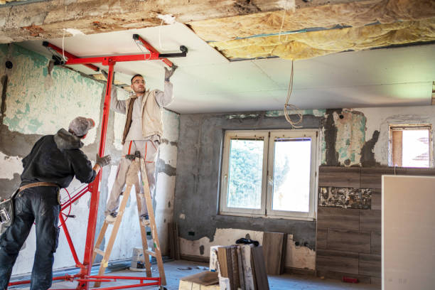 Best Home Insulation Services  in Viola, IL