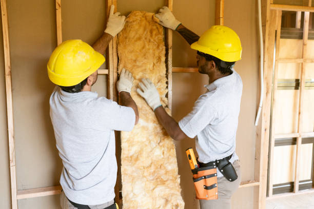 Best Energy-efficient Insulation  in Viola, IL