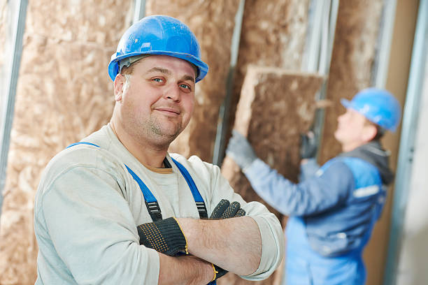 Best Insulation Inspection Services  in Viola, IL