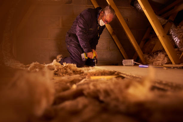 Best Insulation Repair Services  in Viola, IL