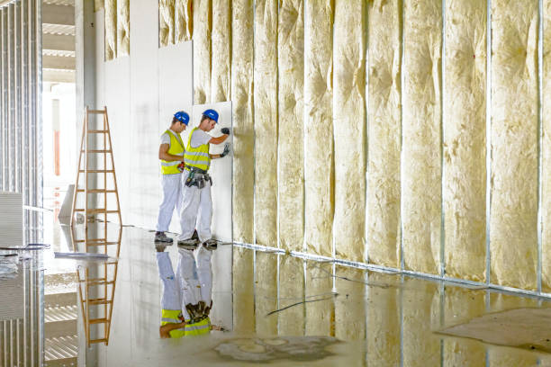 Best Fiberglass Insulation  in Viola, IL